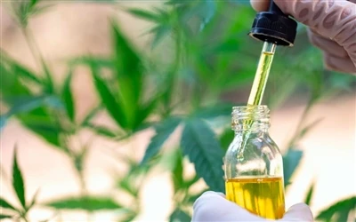 9 יתרונות בריאותיים של שמן CBD - ותופעות לוואי