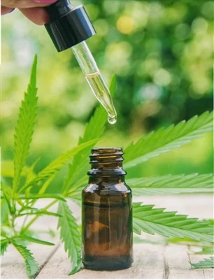 מה לדעת לפני שתנסה CBD