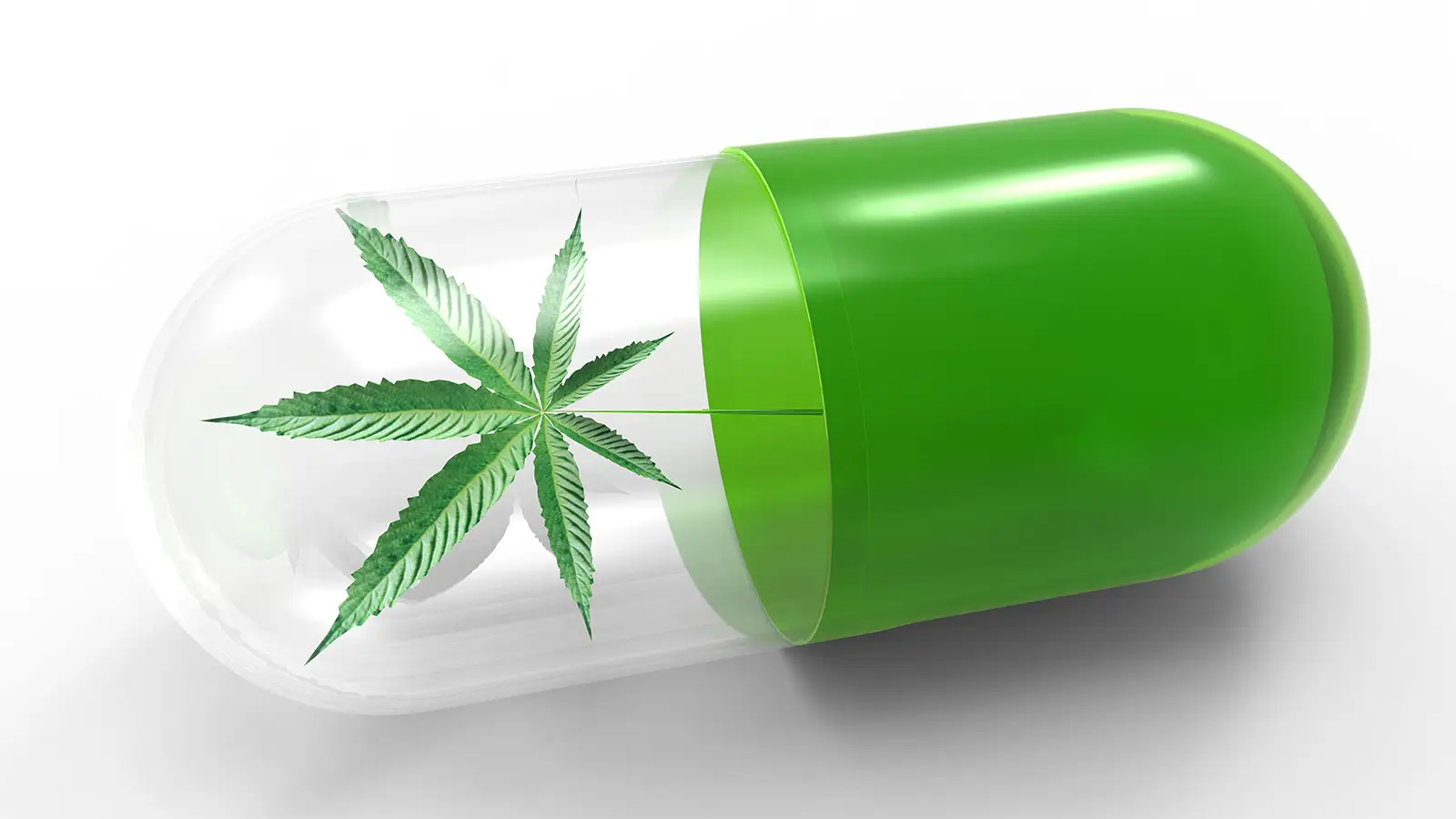 האם CBD חוקי? מדריך מלא לחוקי CBD לפי מדינה