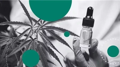 מדוע CBD מייצר את השפתיים הטבעיות הטובות ביותר