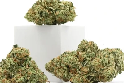 מדוע CBD מייצר את השפתיים הטבעיות הטובות ביותר